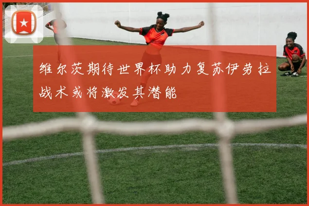 维尔茨期待世界杯助力复苏伊劳拉战术或将激发其潜能