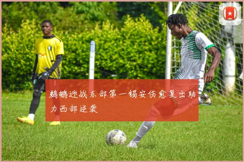 鹈鹕迎战东部第一锡安伤愈复出助力西部逆袭